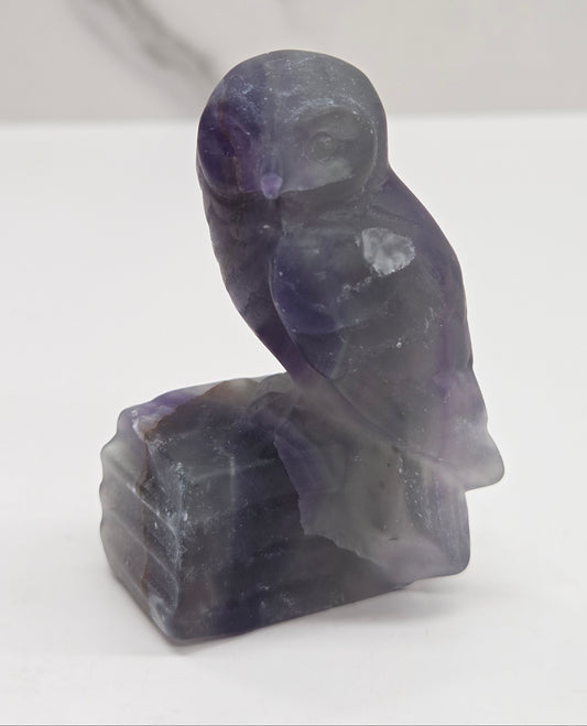 Owl on books carving