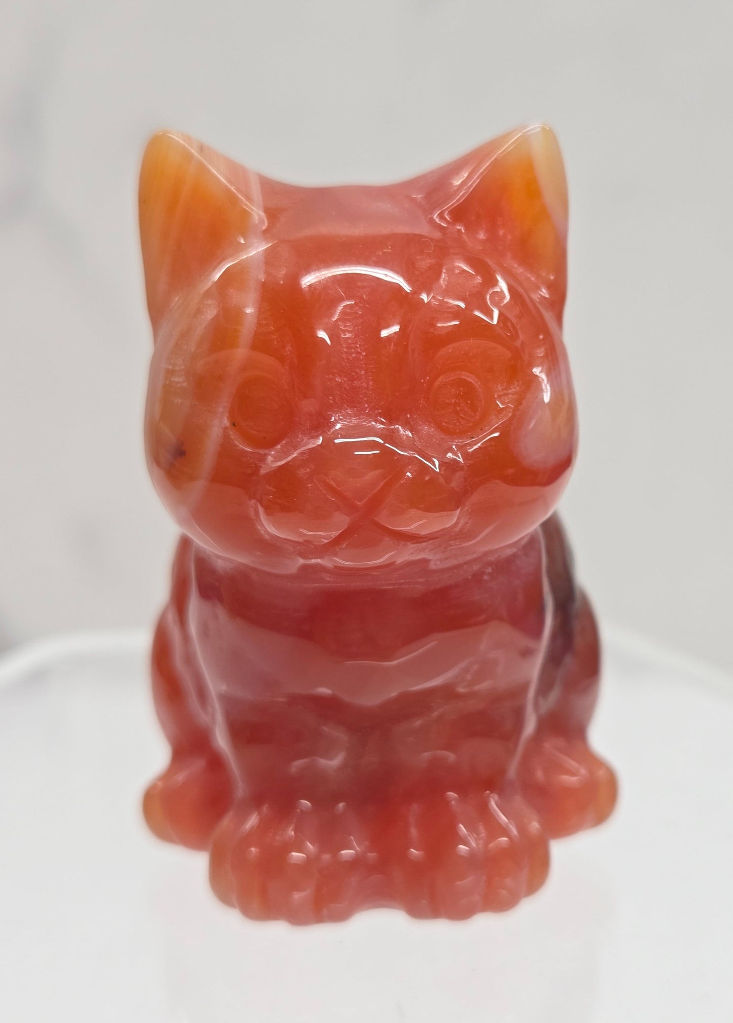 Cute cat/kitty carvings (medium)