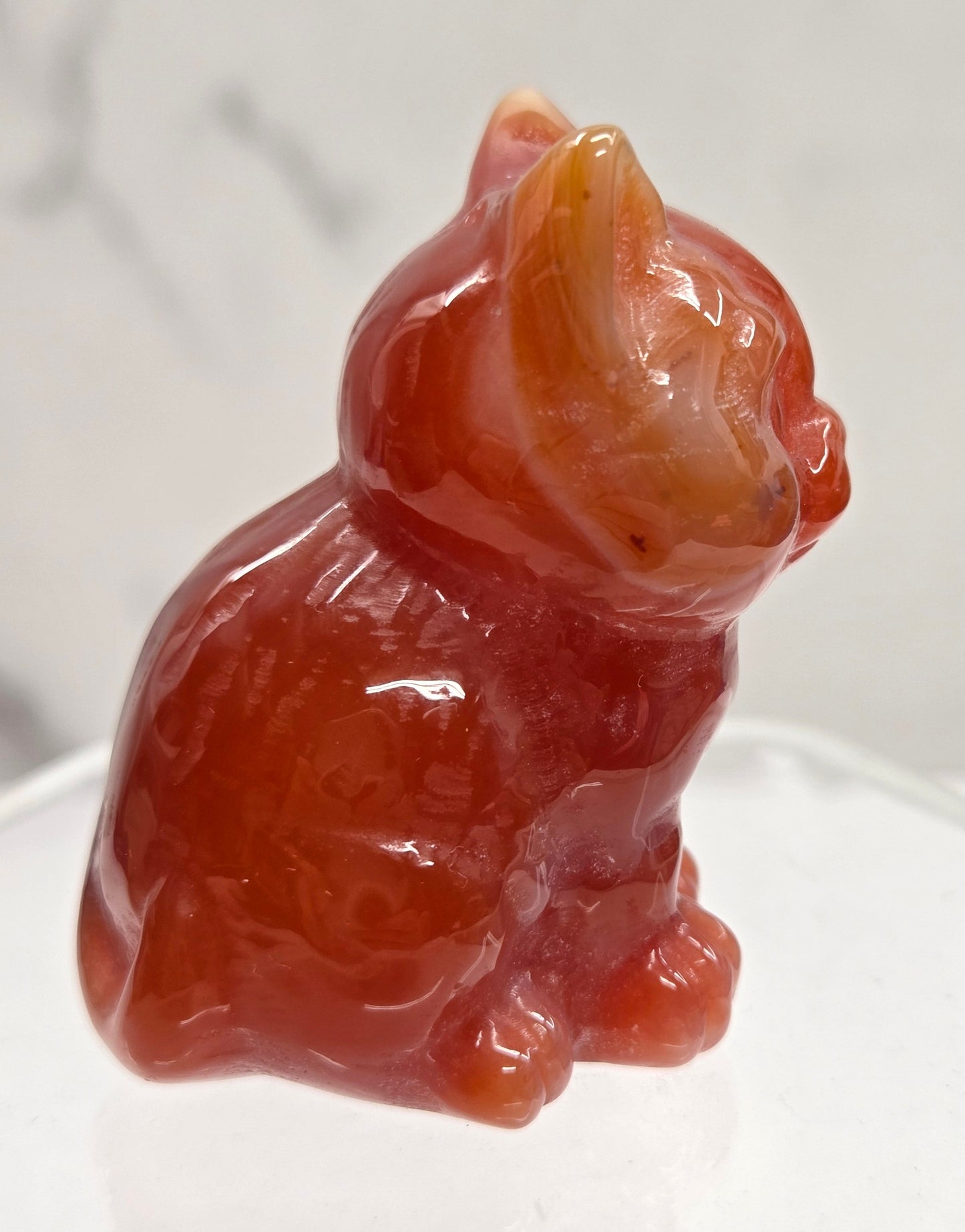 Cute cat/kitty carvings (medium)