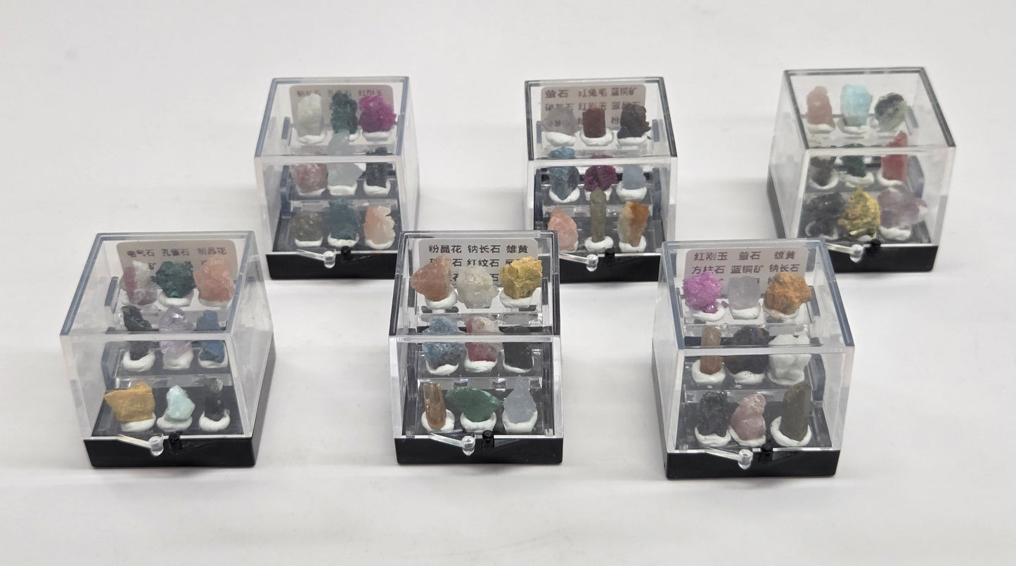 Mini specimen perky boxes