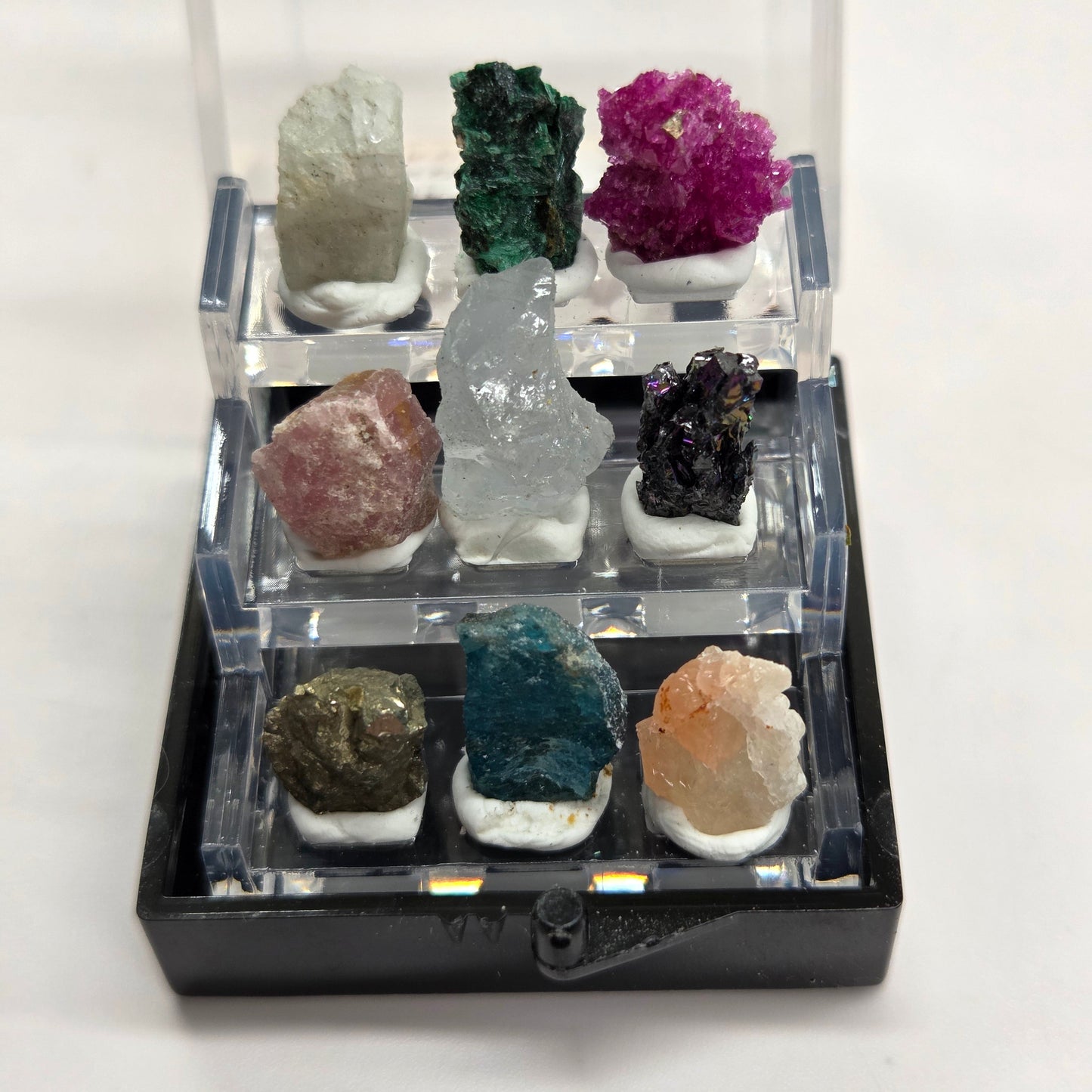 Mini specimen perky boxes