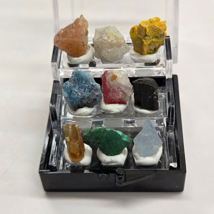 Mini specimen perky boxes