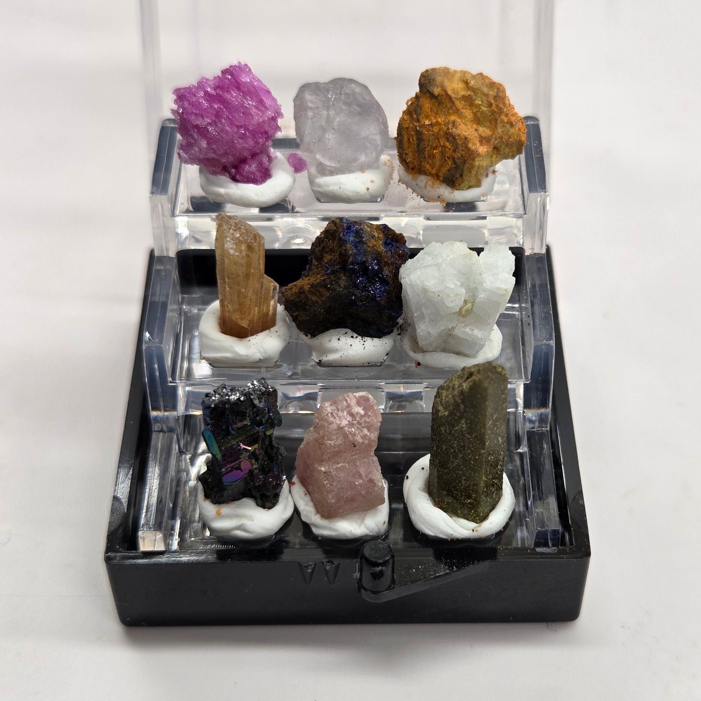 Mini specimen perky boxes