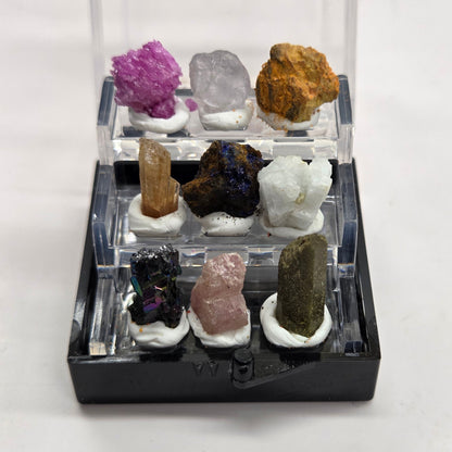 Mini specimen perky boxes