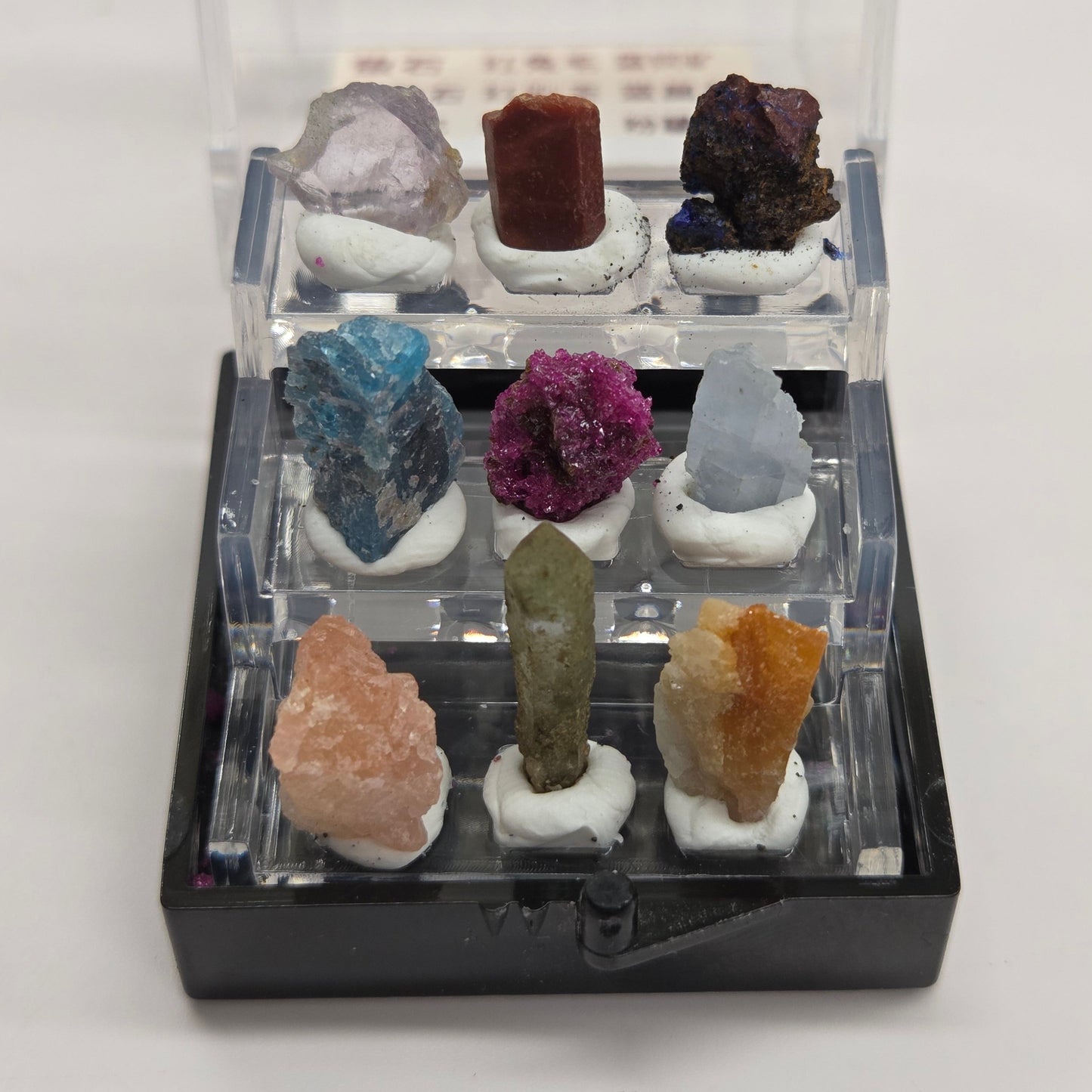 Mini specimen perky boxes