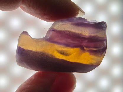 Dragon head carving (S & XS)