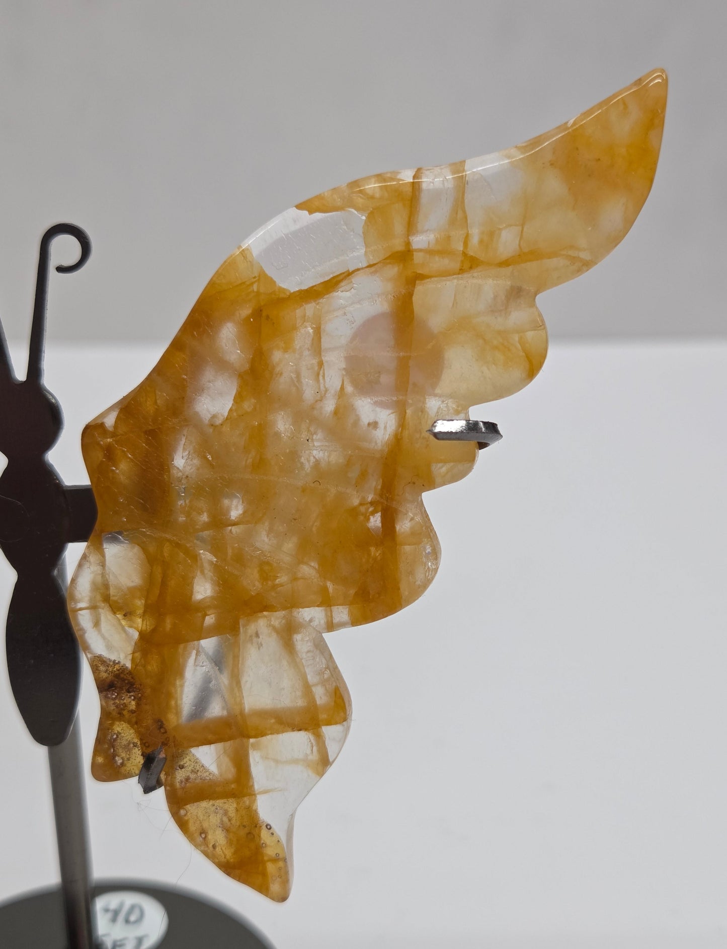 Wings - butterfly - variety of materials (M)