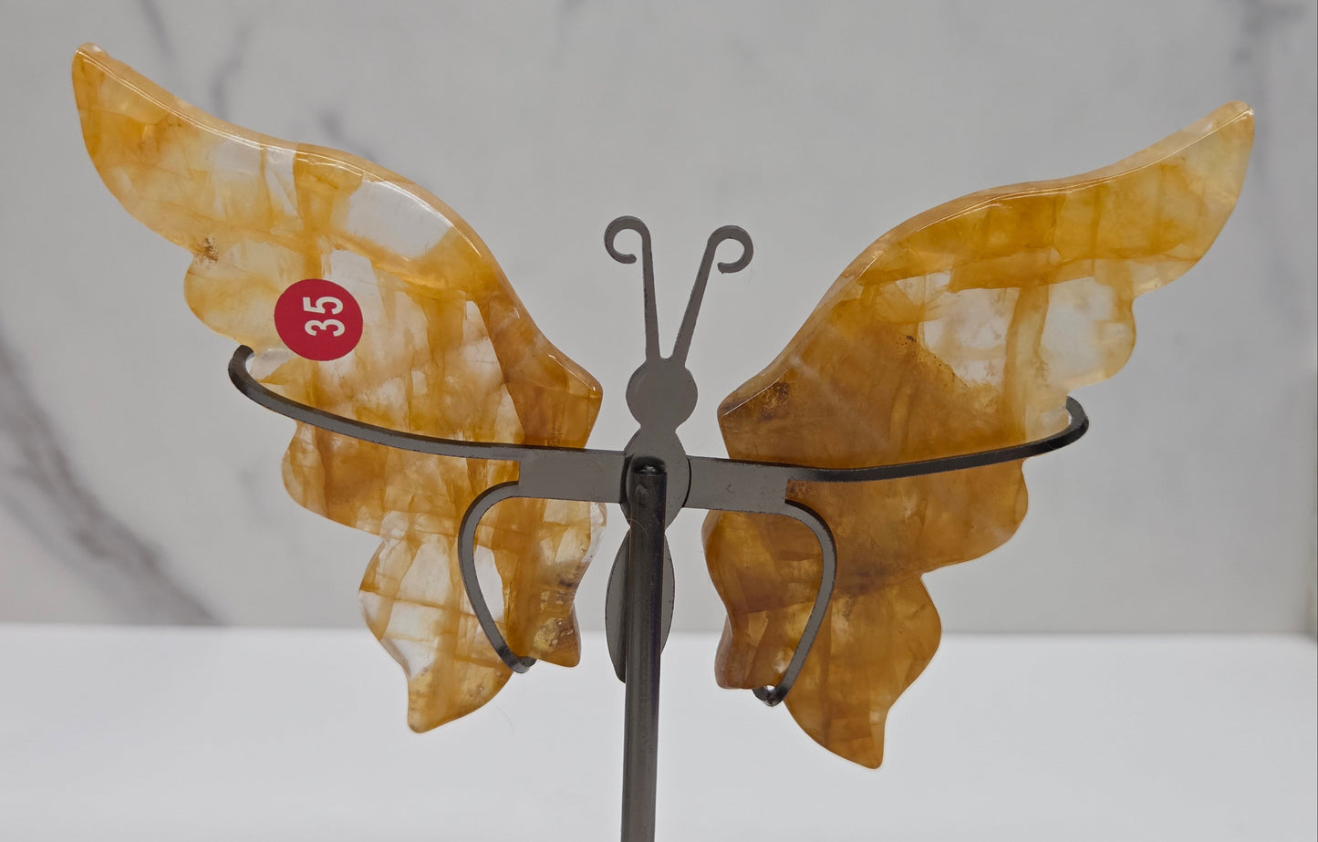 Wings - butterfly - variety of materials (M)