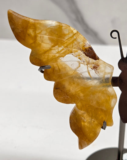 Wings - butterfly - variety of materials (M)