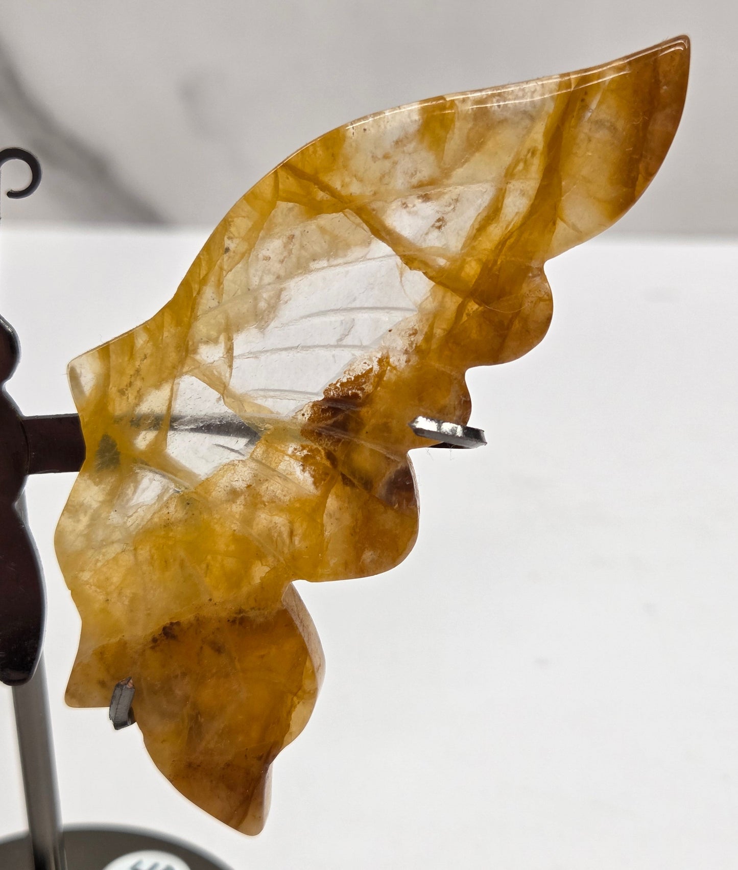 Wings - butterfly - variety of materials (M)