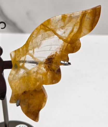 Wings - butterfly - variety of materials (M)