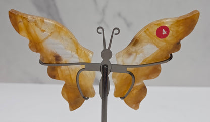 Wings - butterfly - variety of materials (M)