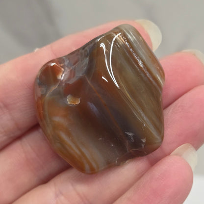 Petrified wood tumble