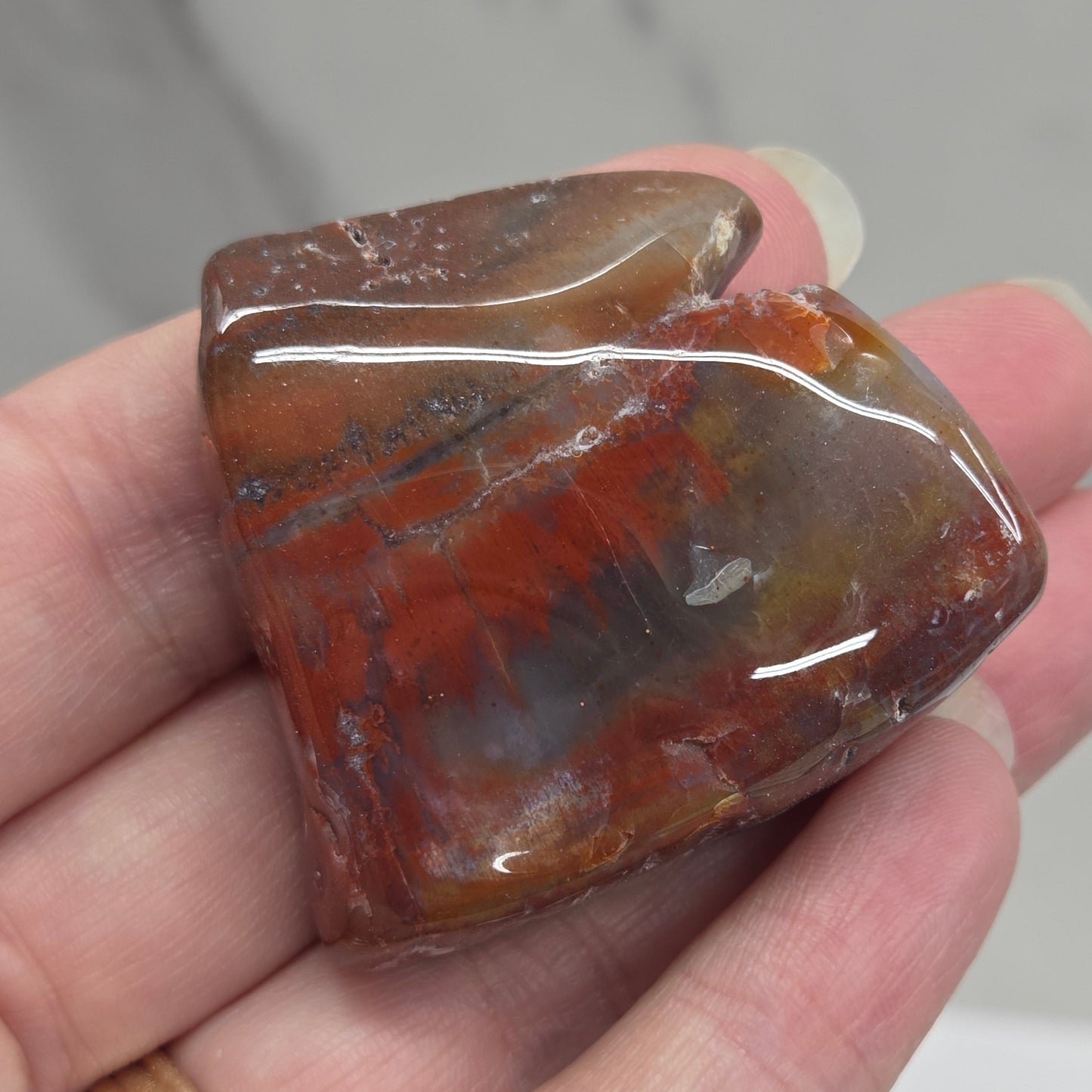 Petrified wood tumble