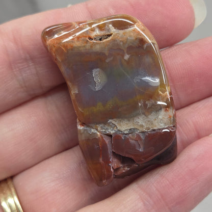 Petrified wood tumble