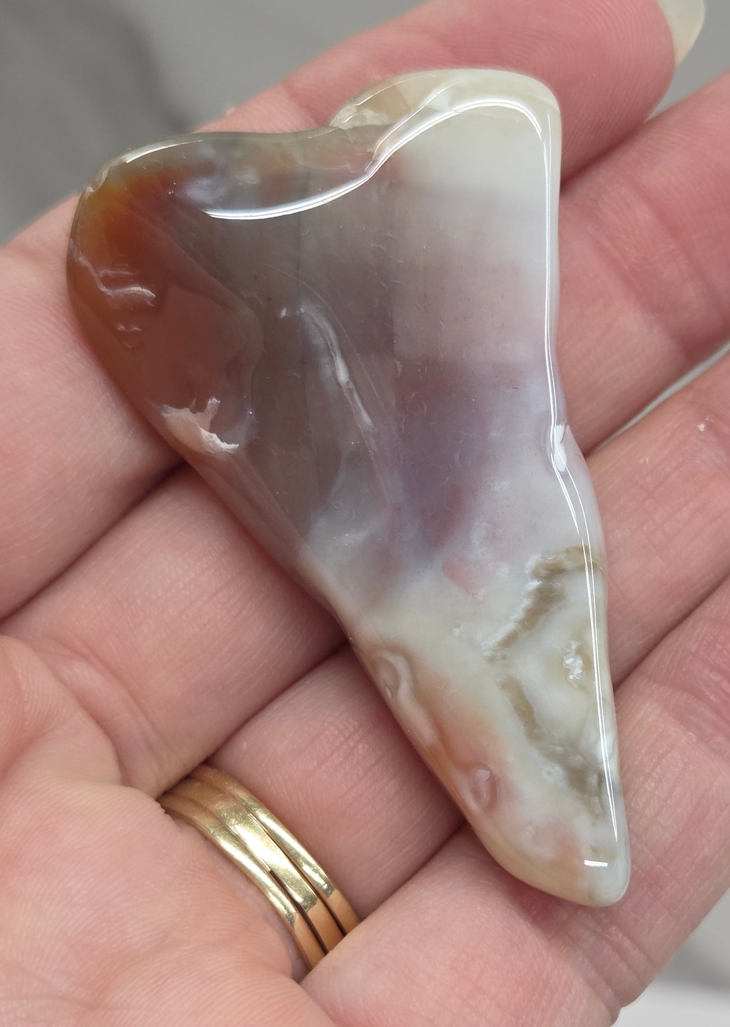 Petrified wood tumble