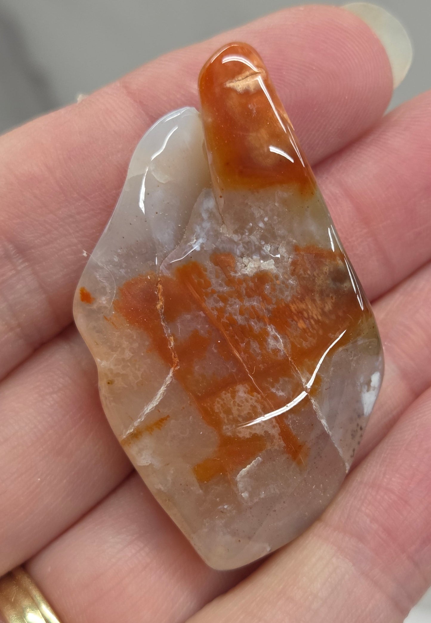 Petrified wood tumble