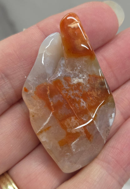 Petrified wood tumble