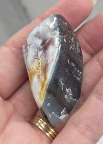 Petrified wood tumble