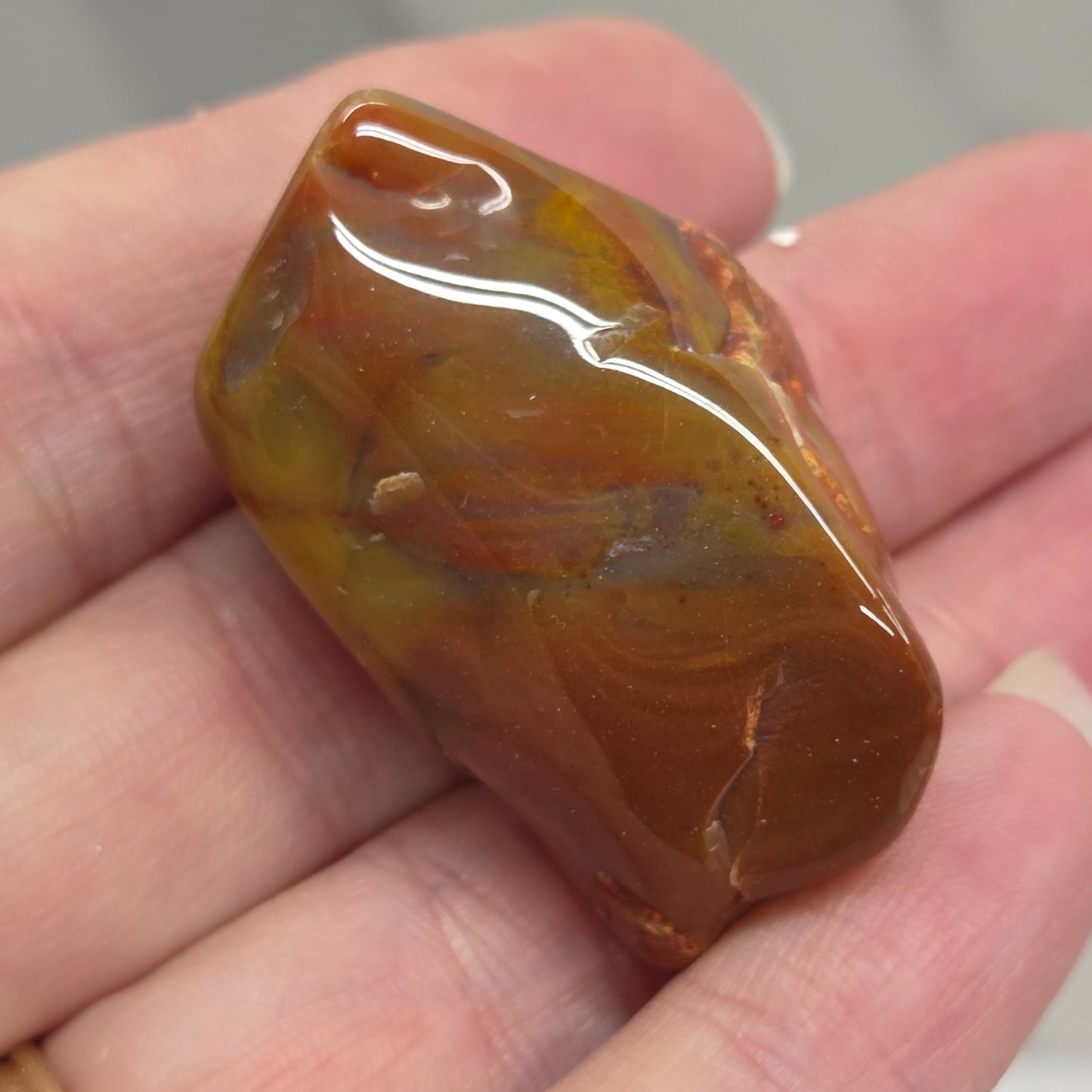 Petrified wood tumble