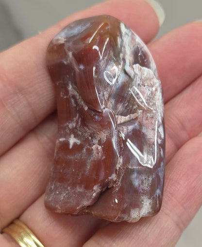 Petrified wood tumble