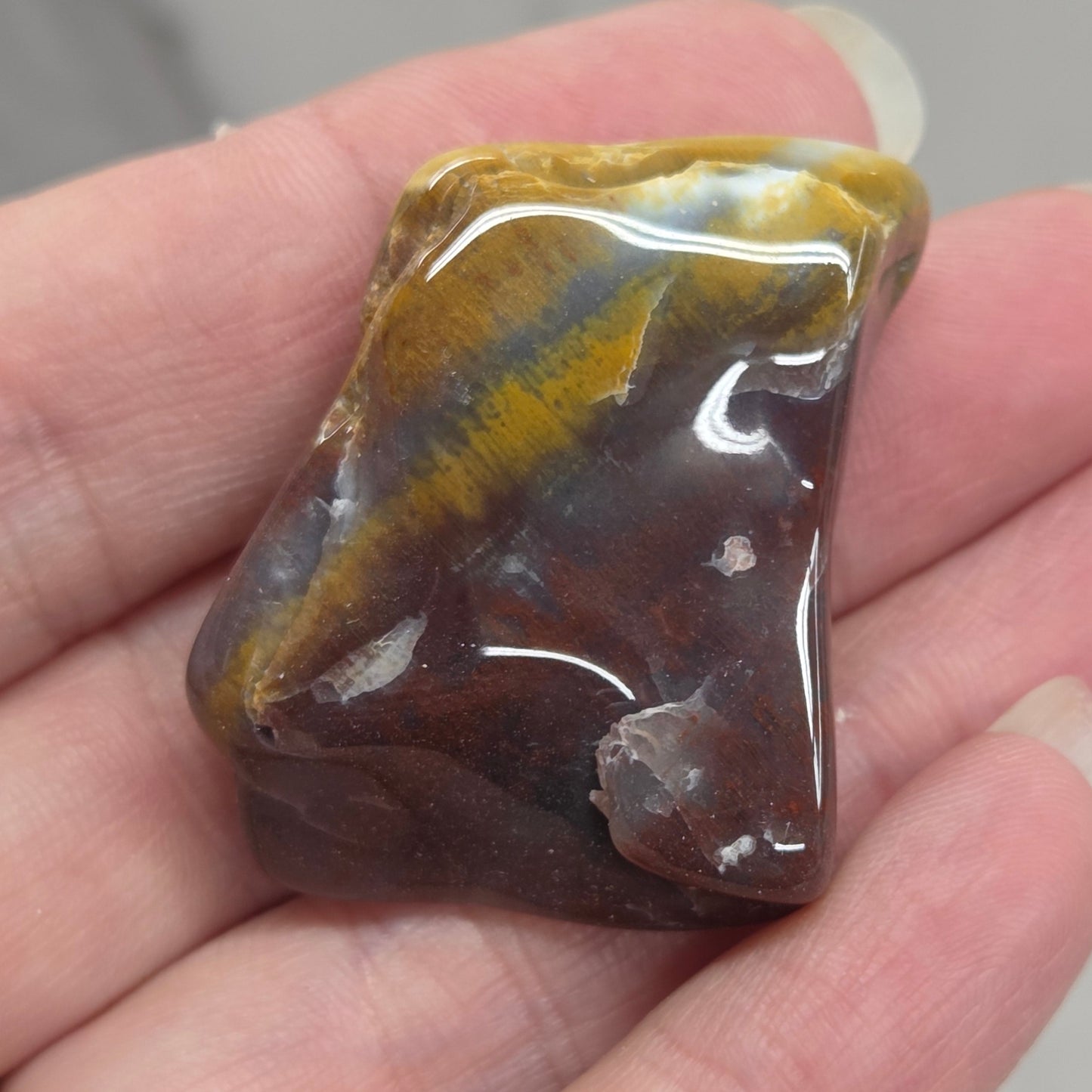 Petrified wood tumble