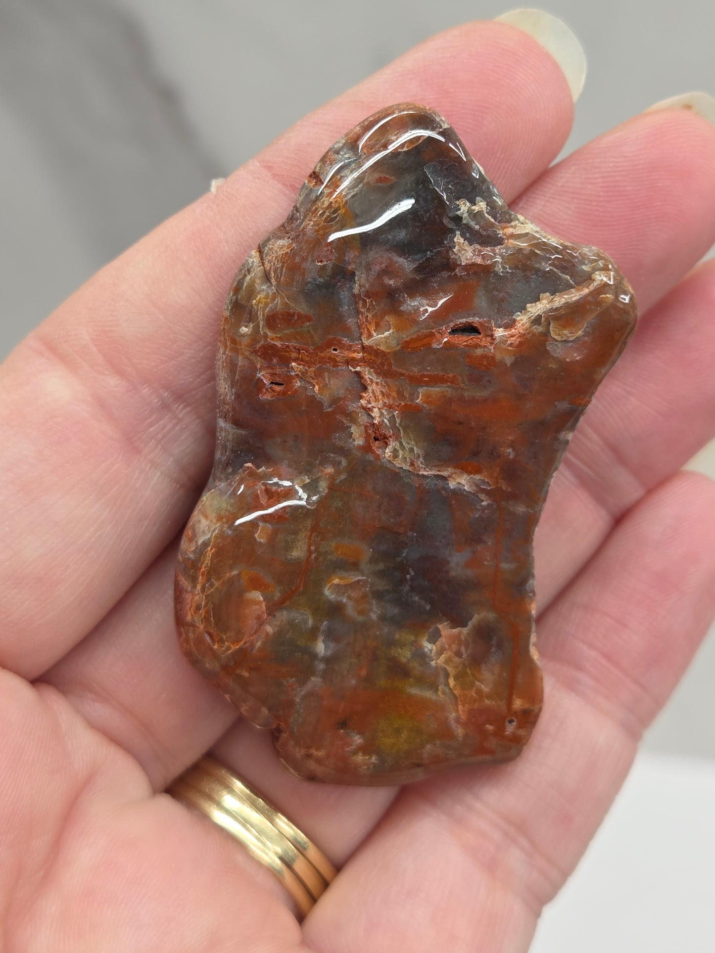 Petrified wood tumble