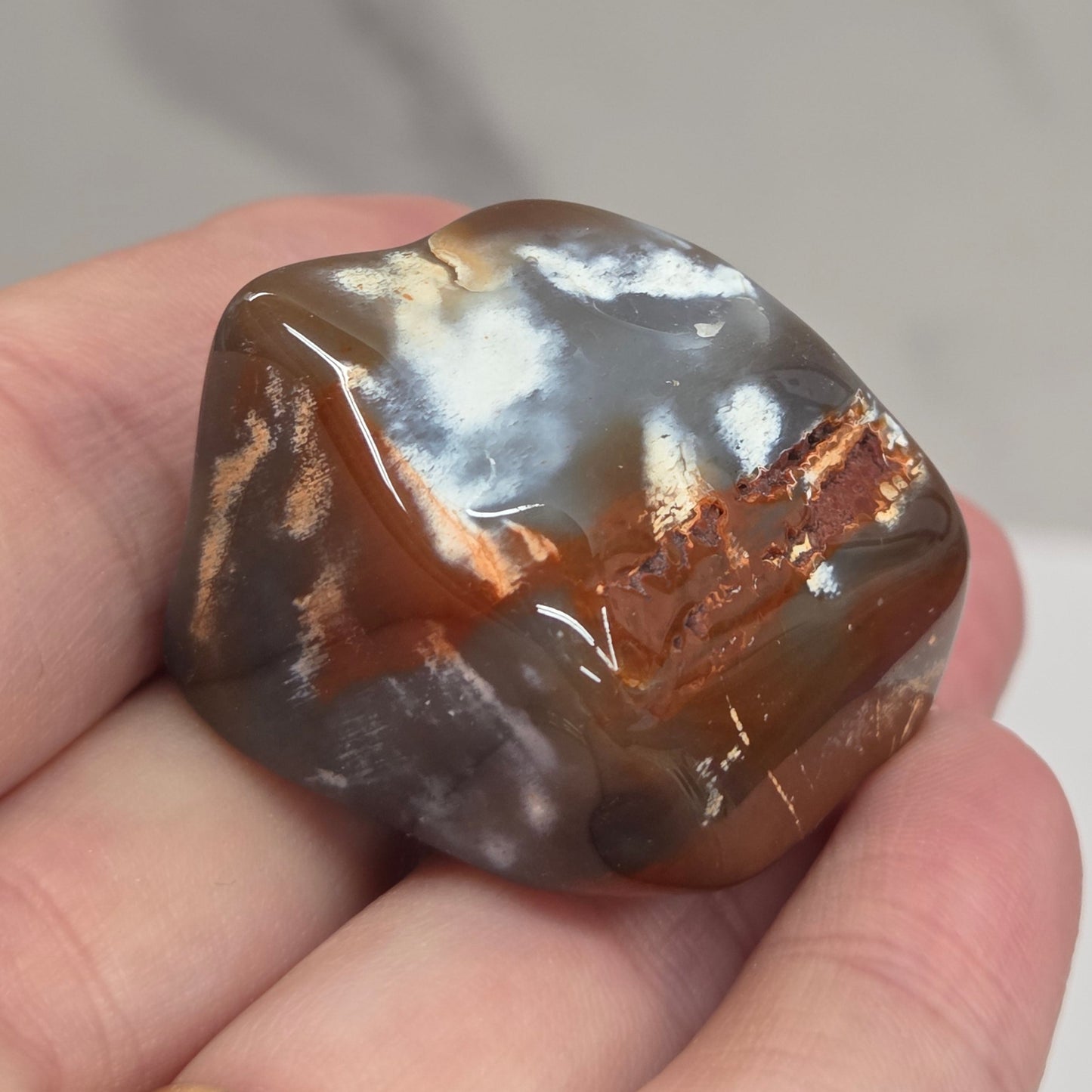 Petrified wood tumble