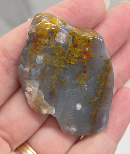 Petrified wood tumble