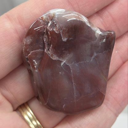 Petrified wood tumble