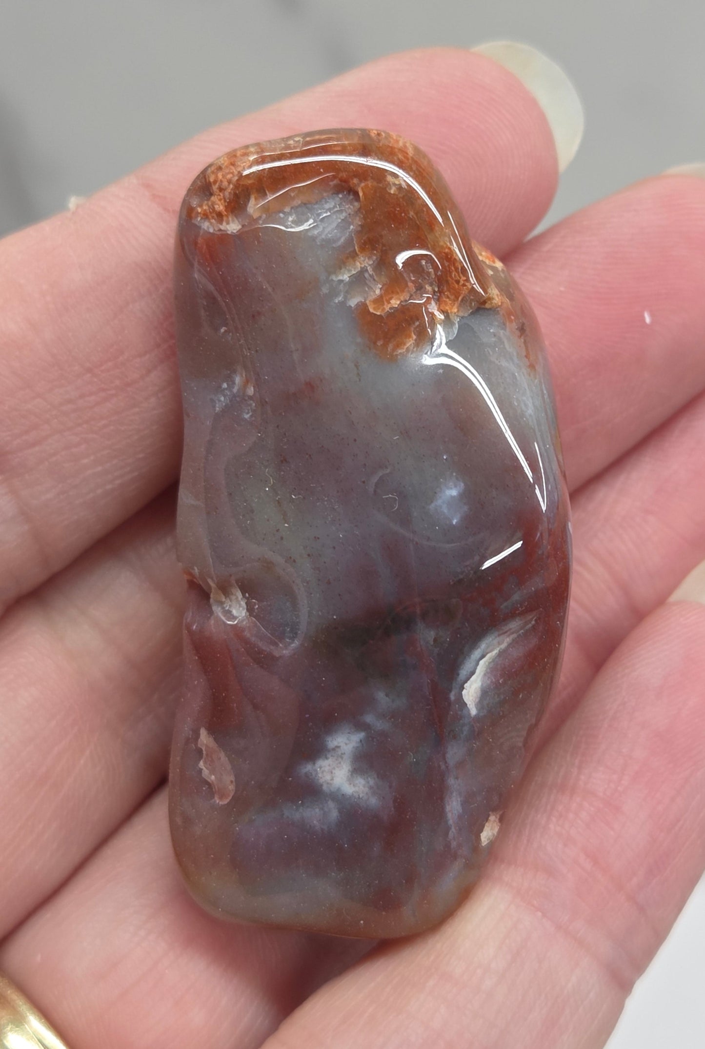 Petrified wood tumble