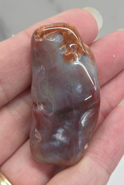 Petrified wood tumble