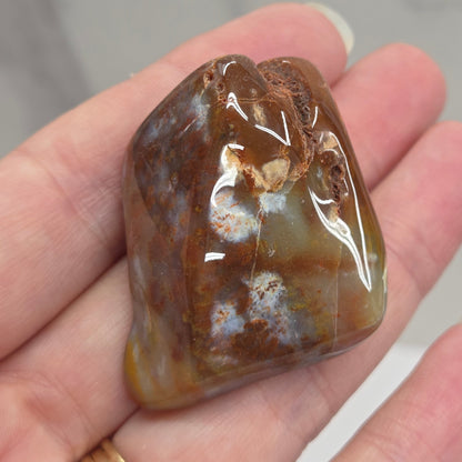 Petrified wood tumble