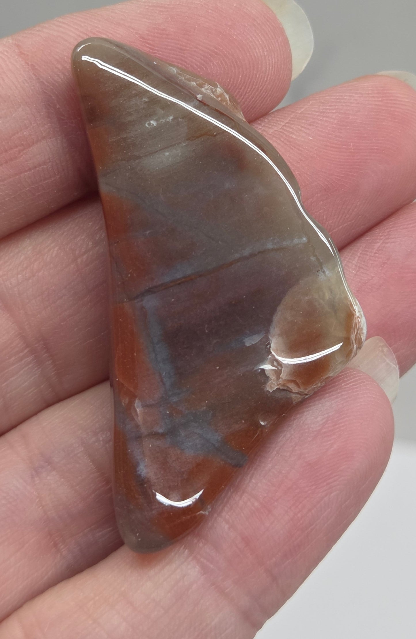 Petrified wood tumble