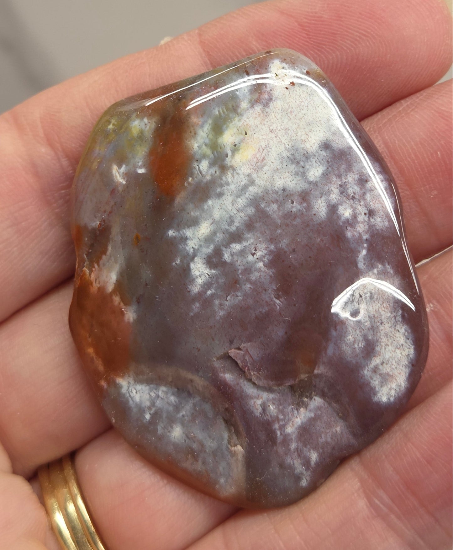 Petrified wood tumble