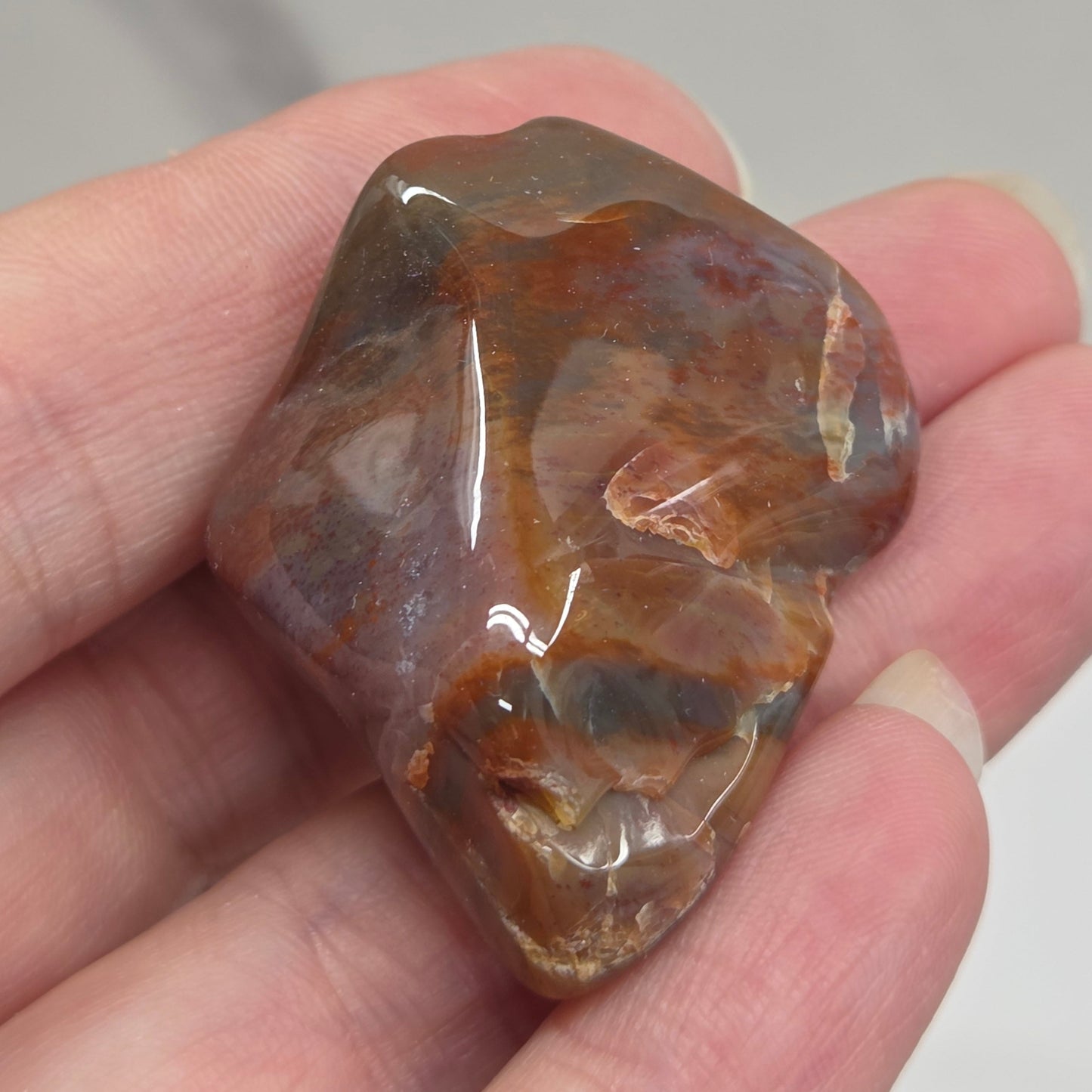 Petrified wood tumble