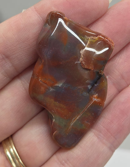 Petrified wood tumble