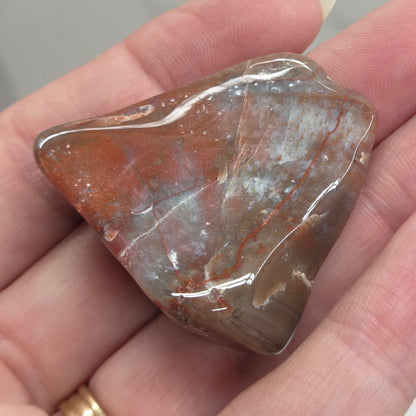 Petrified wood tumble