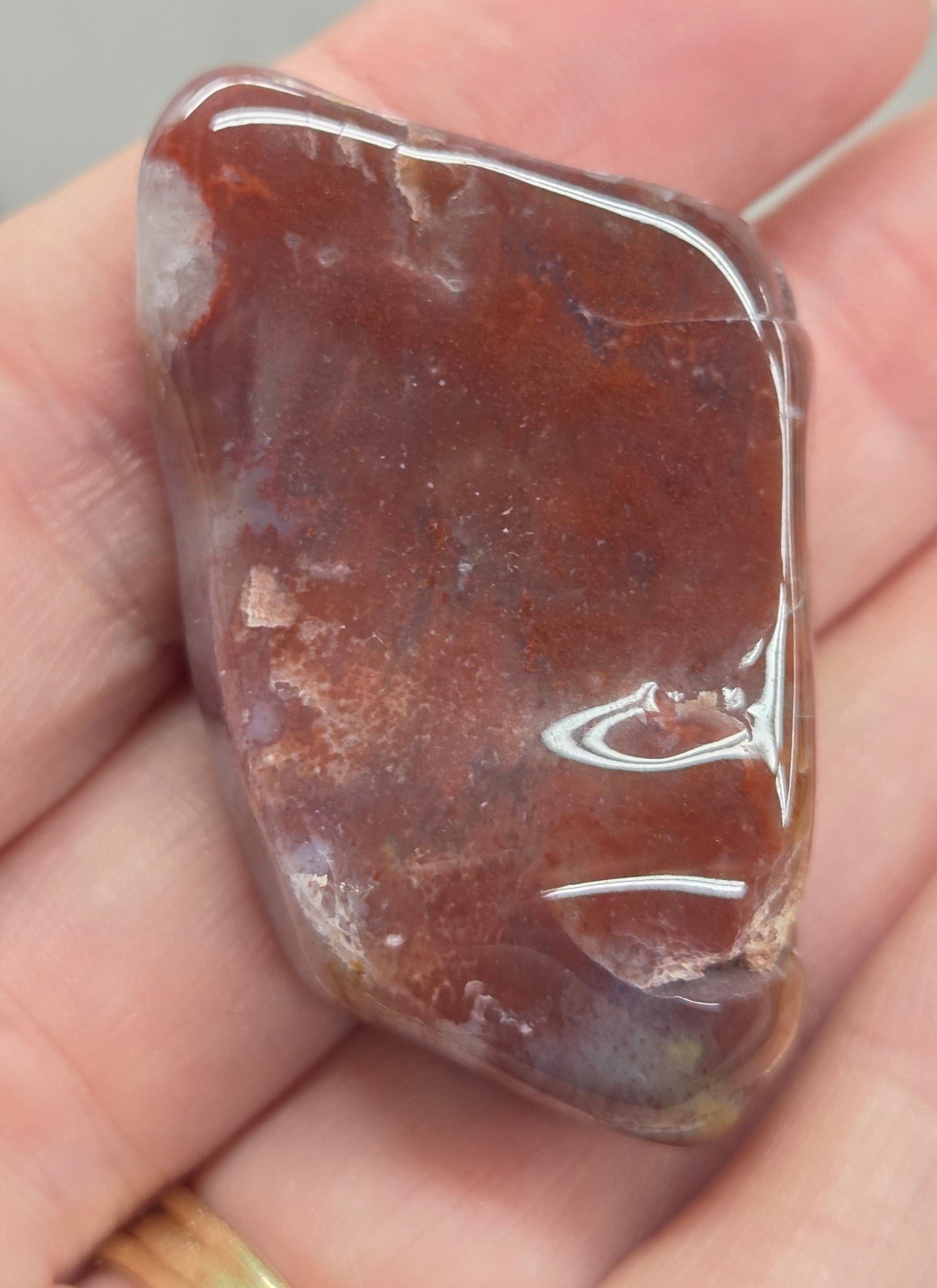 Petrified wood tumble