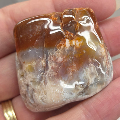 Petrified wood tumble