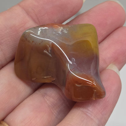 Petrified wood tumble