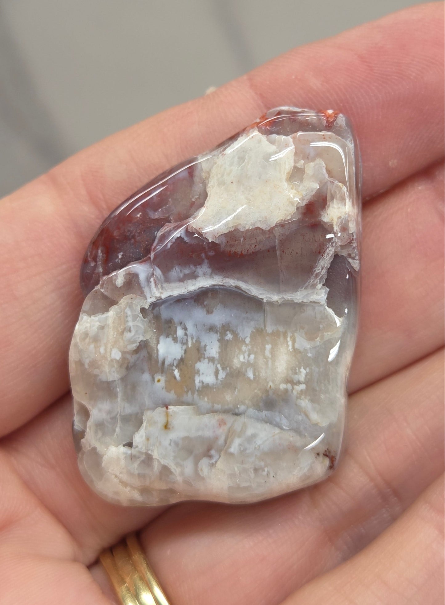 Petrified wood tumble