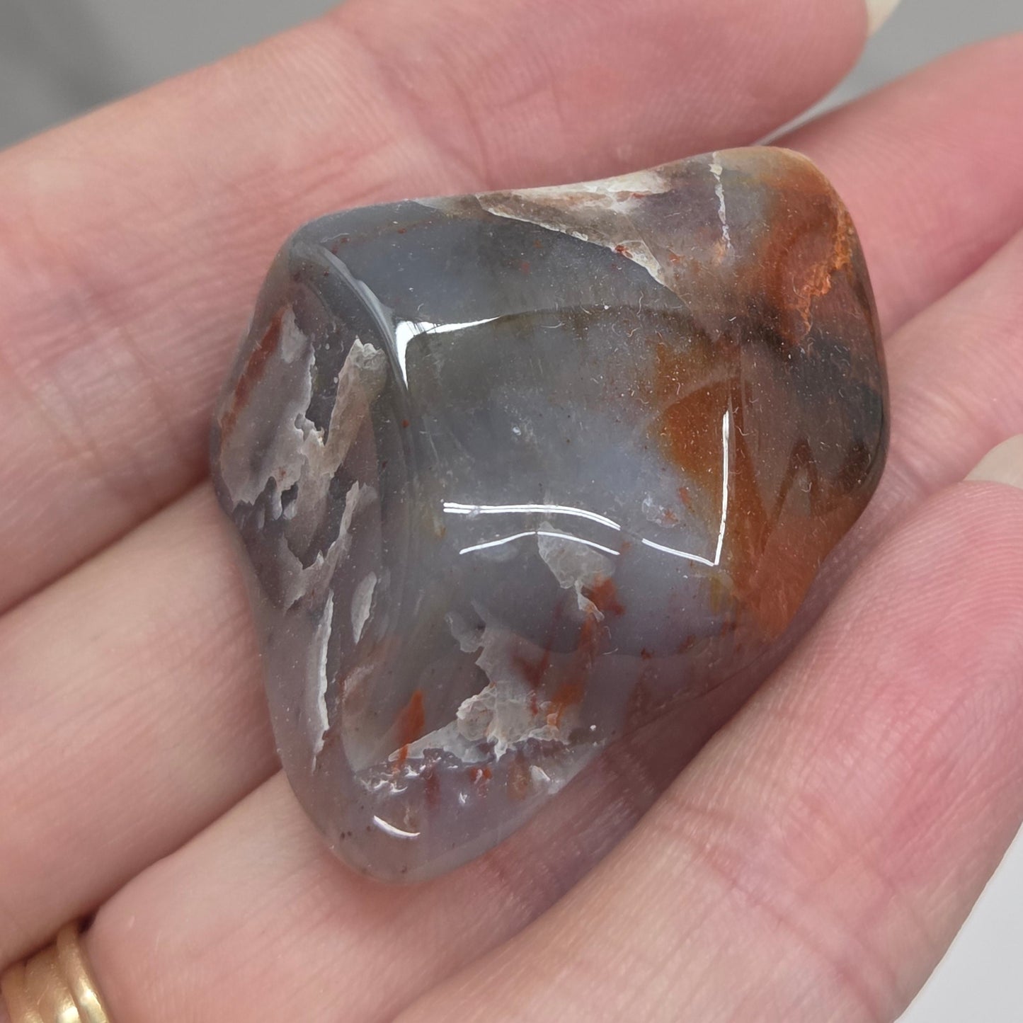Petrified wood tumble