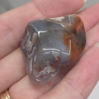 Petrified wood tumble