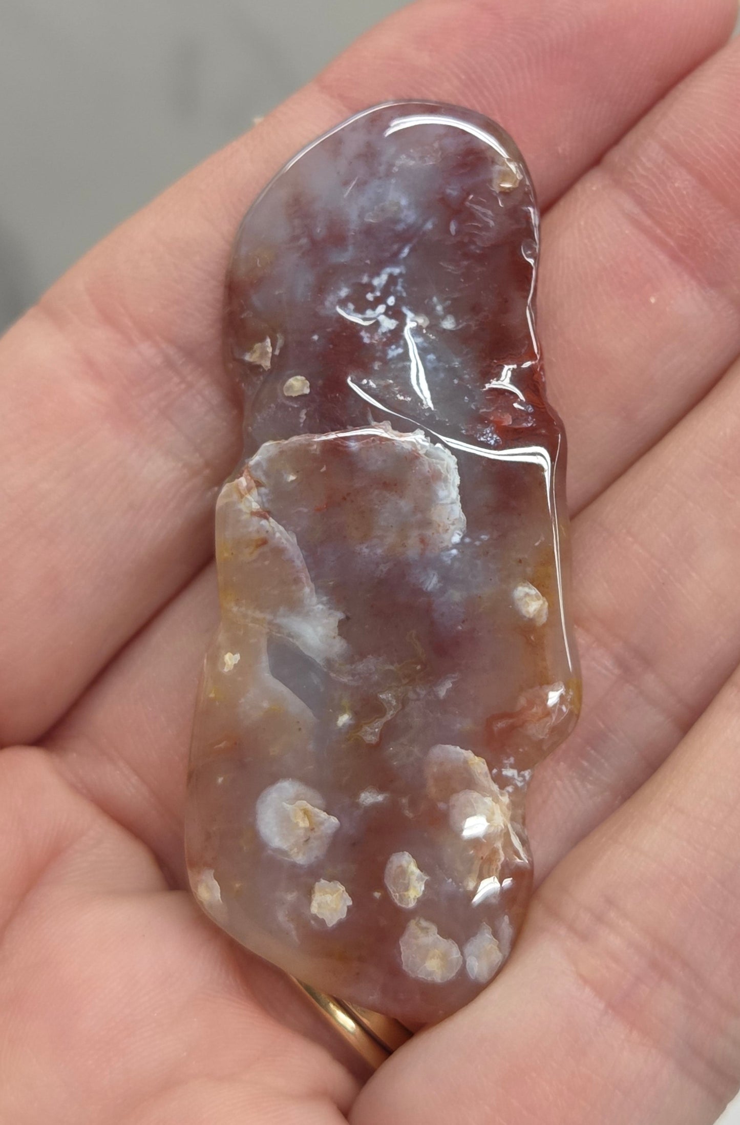 Petrified wood tumble