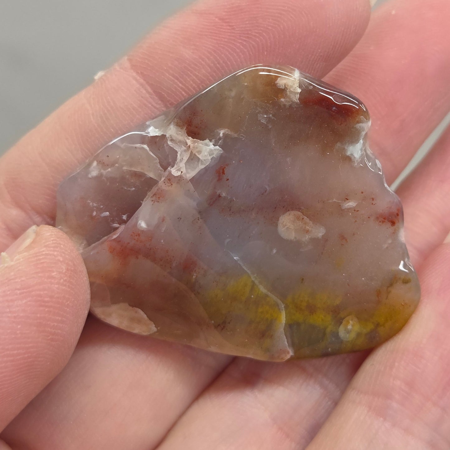 Petrified wood tumble