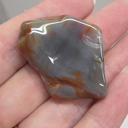 Petrified wood tumble