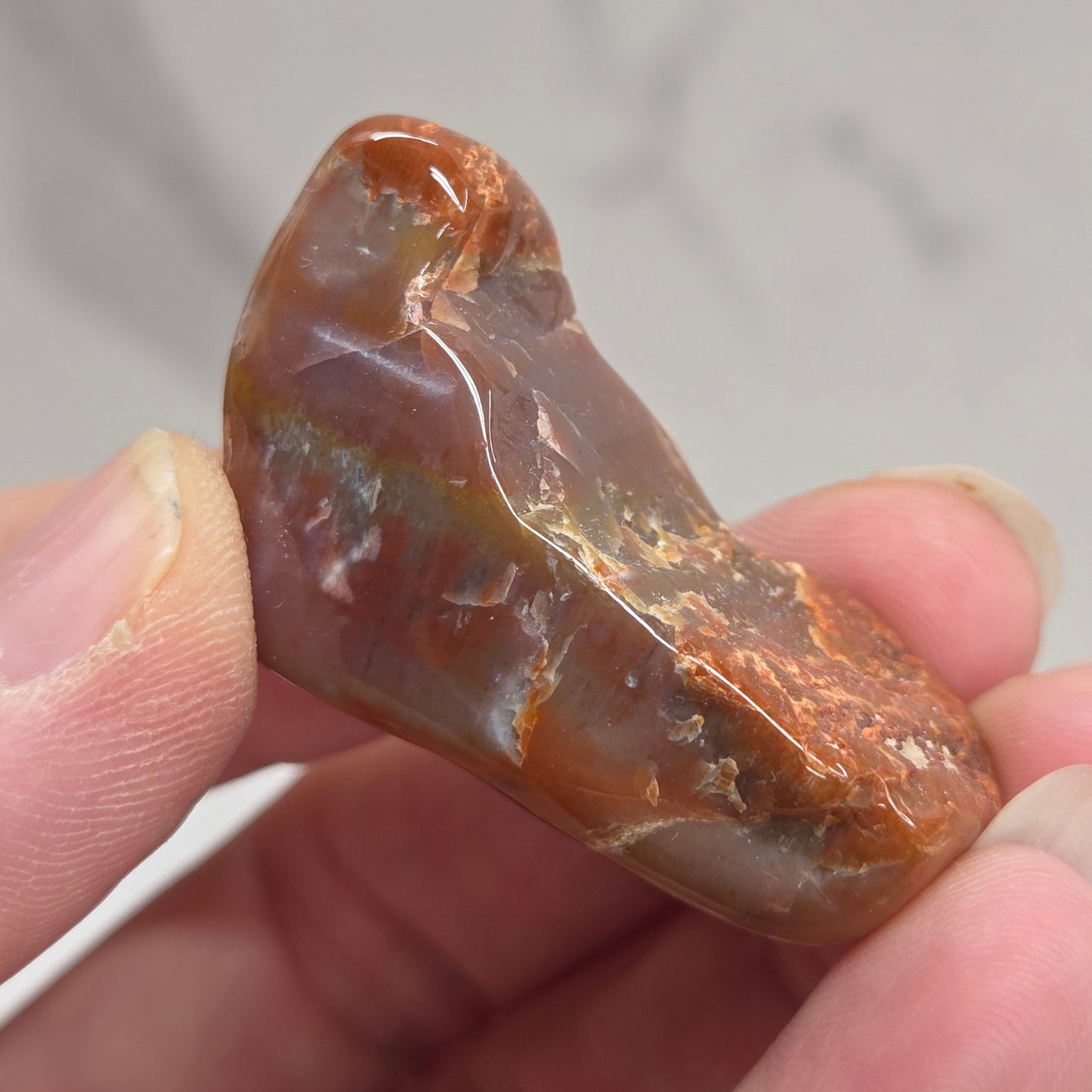 Petrified wood tumble