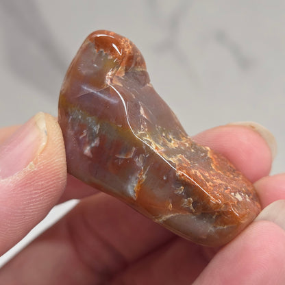 Petrified wood tumble