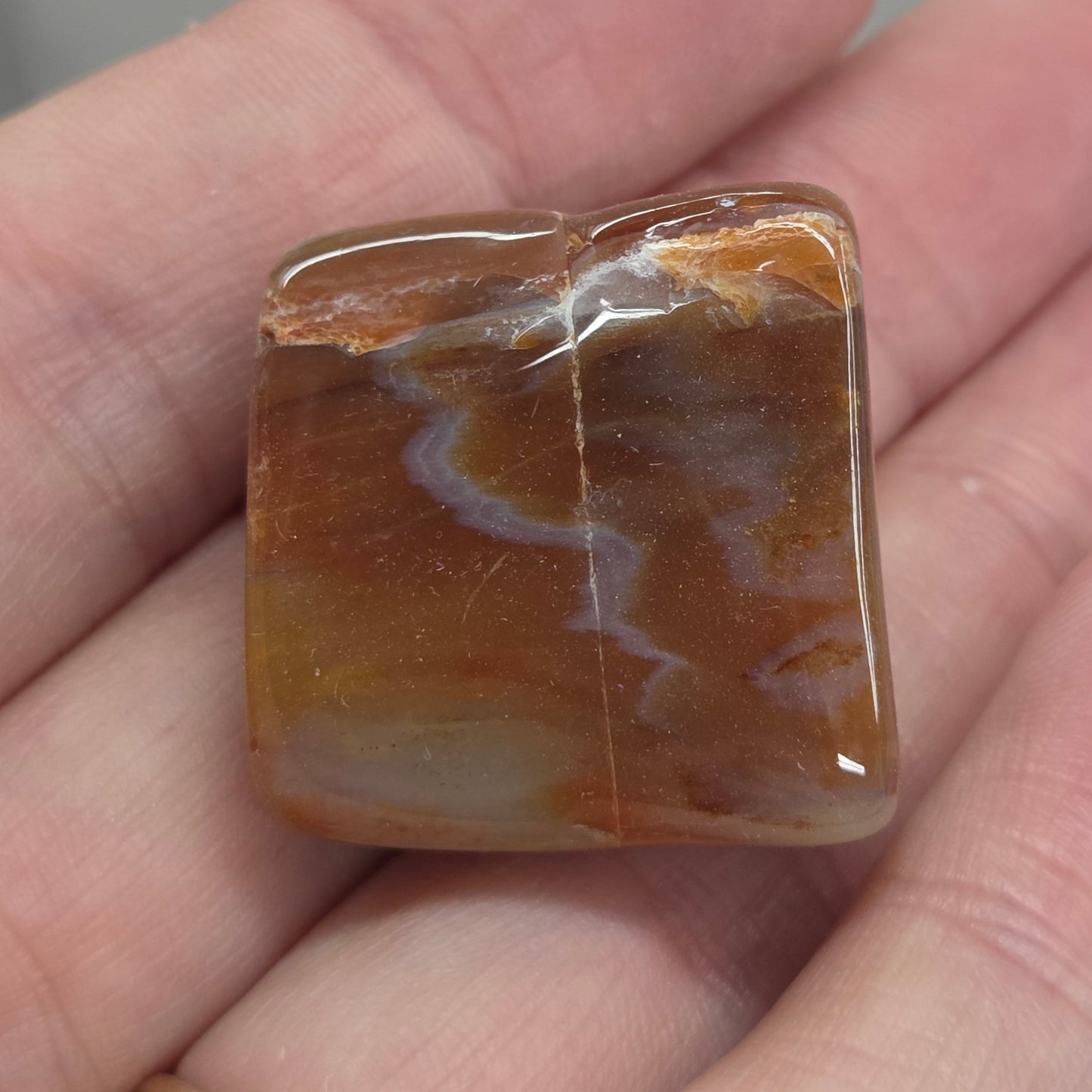 Petrified wood tumble